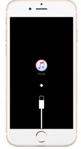 20151103iphone