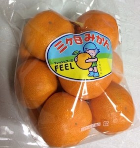 20151118mikan