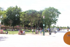 IMG_3876