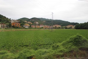 IMG_3954
