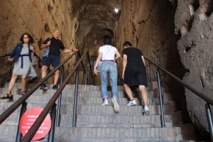 IMG_4184